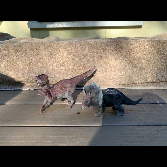 11 Dino set - Picture 6 of 6